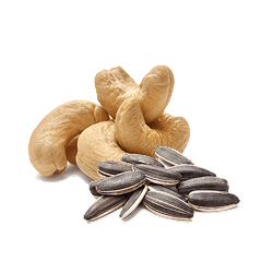 Nuts & Seeds Shopping